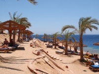 Tropicana Grand Oasis Resort - 