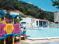 Royal Bay Elenite -  