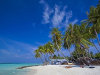 Kaani Village   Spa Guest House - 