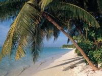 Sun Island Resort - ����