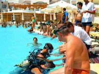 Sol Melia Sharm -  