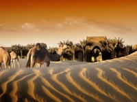 Bab Al Shams - 