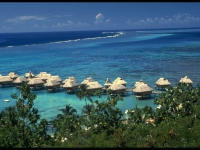 Hotel Sofitel Moorea Ia Ora Beach Resort - 