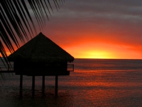 Le Meridien Tahiti -  