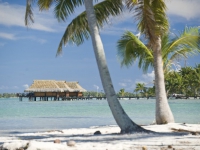 Vahine Island Private Island Resort - 