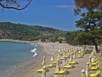 Royal Paradise Beach Resort   Spa - 