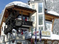 Hotel Chalet Pineta - 