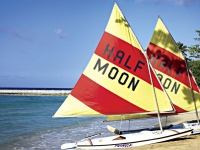 Half Moon - 