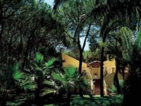 Royal Pineta (Forte Village) -   