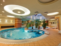 Palace Hotel Heviz -   