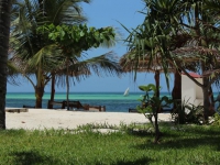Uroa Bay Beach Resort -  