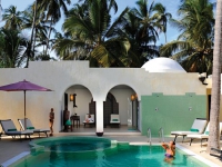 Dream Of Zanzibar - 