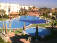 Uni Sharm - 