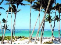 Grand Palladium Punta Cana Resort   Spa -  