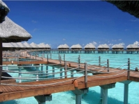 Vilu Reef Beach and Spa Resort - 