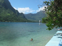 Hotel Les Tipaniers Moorea - 