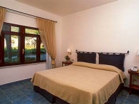 Alberi Del Paradiso -  