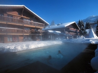 Alpine Lodge -  