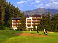 Sheraton Davos Hotel Waldhuus -  