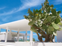 Grecotel The White Palace El Greco -  