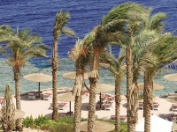 Grand Rotana Resort - Пляж отеля