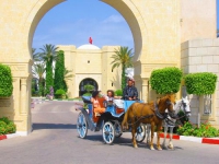 Mahdia Palace Thalasso - 