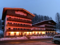 Hotel des Alpes - 