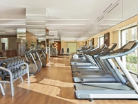 Fairmont The Palm - Health club