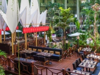 Paradisus Canc #250;n -   