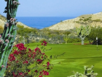 One   Only Palmilla Los Cabos - Arroyo Course Hole