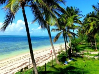 Savannah Cottages - beach