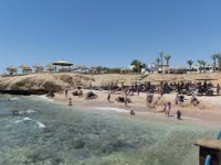 Otium Family Amphoras Beach Resort - пляж