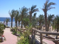 Nubian Village -  